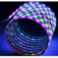 Ws2811 Ws2812b Flexible RGB Effet de couleur numérique Strip Light