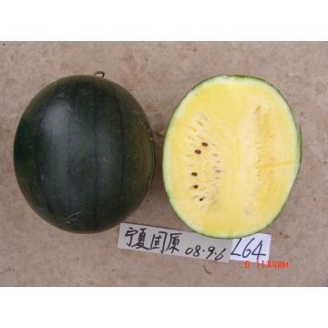 F1 hybrid black hull watermelon seed