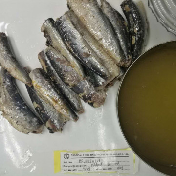 Conservas de Sardinas en Conserva en Aceite