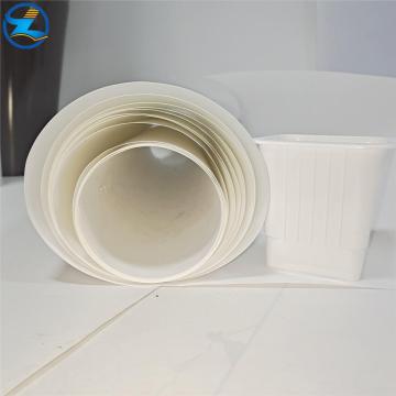 Colored PP rolls sheet films for food containers