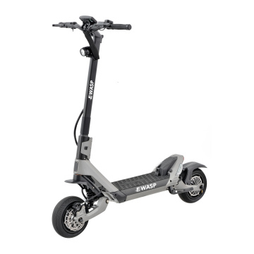 offroad electric scooter dual motor 2400W