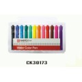 12PCS promotional jumbo water color pen