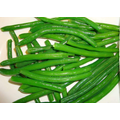 Frozen IQF Green Bean Cuts