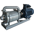 Double-Stage Liquid Ring Vacuum Pumps