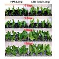 Planta cresce luzes completa spectrum led tira