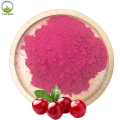 100% natürlicher Cranberry -Saft -Extraktpulver