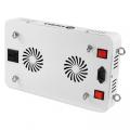 2020 Newest Product Timer Function 750w Led Red