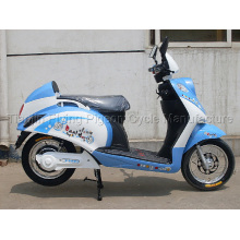 E-Bike (E-008)