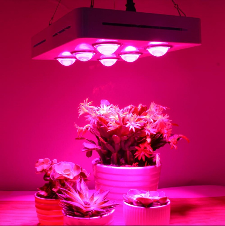 grow light fixtures