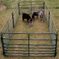 high galvanized cattle horse fencing metal fence