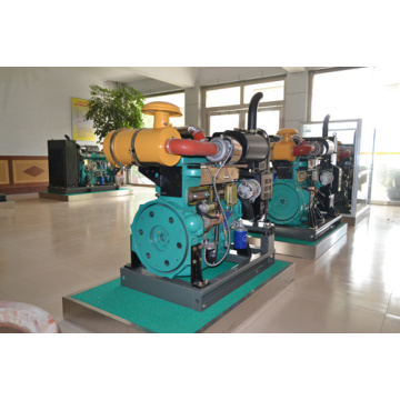 Weifang Huayuan Multi Cilindro Disel Motores