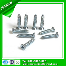 Fillister Flat Head Self Tapping Screw Safety Screw