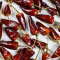 Ventes directes authentiques Guizhou Bulte Dry Red Pepper