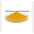 Factory berberine hydrochloride activity powder supplement