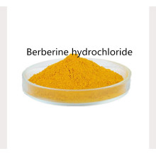 Factory berberine hydrochloride activity powder supplement