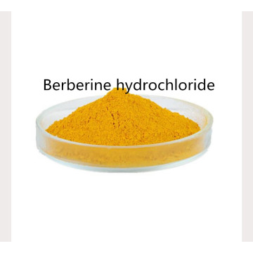 Factory berberine hydrochloride activity powder supplement