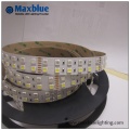 Disque de conduite concurrentiel Led China Manufacturer Flexible Smd 3528 Led Strip