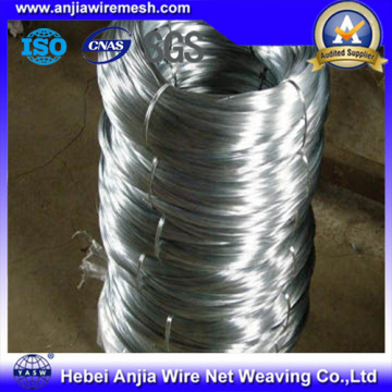 maille de câble métallique d'acier inoxydable - Chine Fournisseur