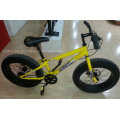 Bicicleta de Montaña de 6 Velocidades Young Mountain 20 &quot;(FP-MTB-FAT05)