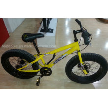 Bicicleta de Montaña de 6 Velocidades Young Mountain 20 &quot;(FP-MTB-FAT05)