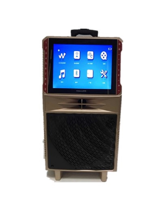 Portable Bluetooth Karaoke Speaker