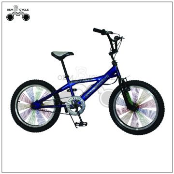 20 inch Hi-ten Steel Freestyle Bike