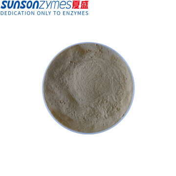 Complex enzyme for animal feed Nutrizyme SFH-031