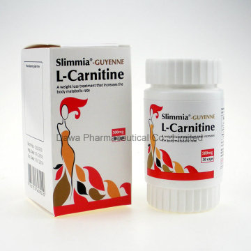 Cuerpo de alta calidad que adelgaza y que pierde la pérdida de peso 500mg L-Carnitine Cápsula