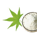 Sweet Tea Leaf Extract