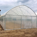 Poly tunnel greenhouse solar hydroponic greenhouse