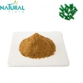 Schisandra Chinensis Extract Powder