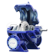 Double Suction Circulating Water Pump for Feed