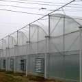 Multi Span Film Covering Greenhouse for Vegetables