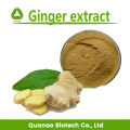 Extrait de gingembre poudre de gingerol 5% 10%