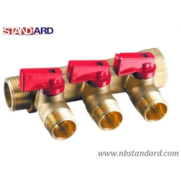 Manifold Valve