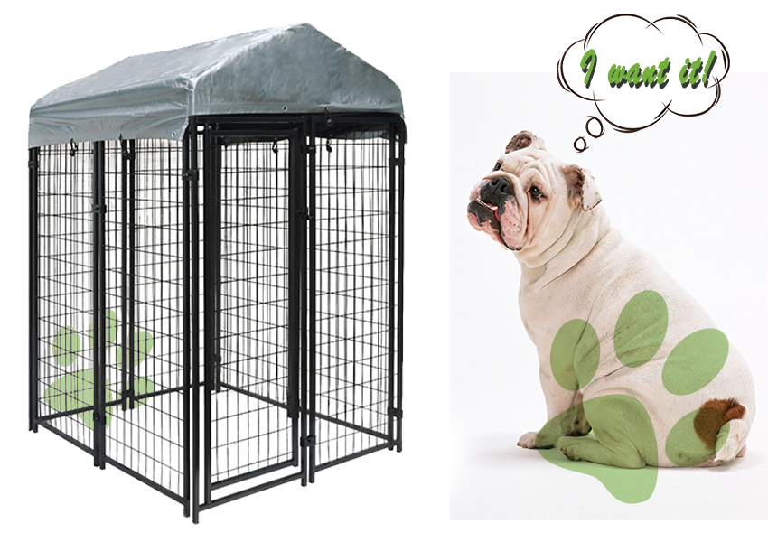 3 dog kennel