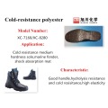 POLYETHER -POLYURETHANE FOOTWEAR SYSTEM