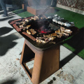 Grillades de cuisine en plein air pour barbecue