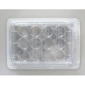 12 Well Cell Culture Plates