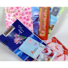 Hard Cover File Folder with 3D Effect Lenticular Printing