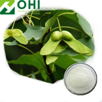Acer Truncatum Seed Extract Nervonic Acid Powder