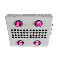 600W Noas Serie COB LED Grow Light