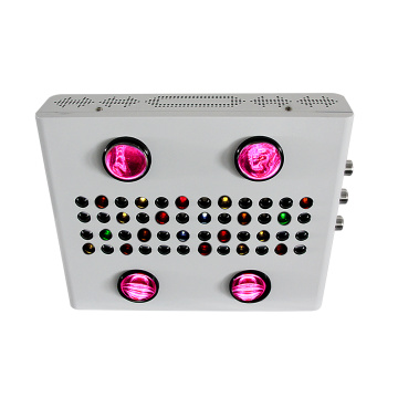 600W Noas série COB LED élèvent la lumière