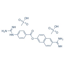 Mesilato de Nafamostat 82956-11-4