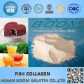 100% natural de colágeno de peixe marinho
