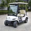 2 Sitzer elektrischer Golfwagen zum Verkauf