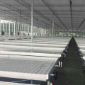 Agriculture Seed rolling bench For Greenhouse