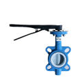 Cast iron low temperature groove clip butterfly valve