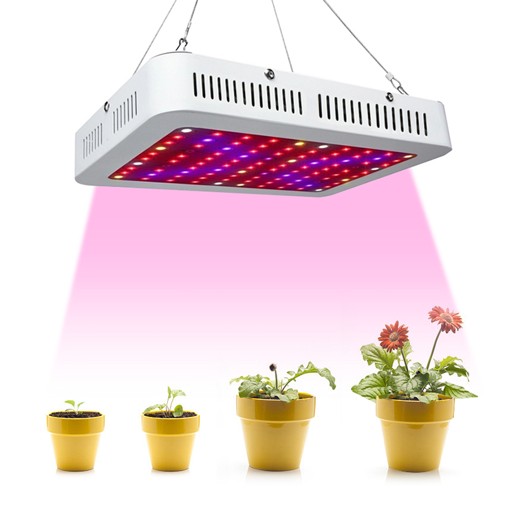 600w grow light