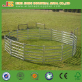 Australia & New Zealand Farm Used Galvanized Pipe Welded Cattle Fence Horse Fence Sheep Fence